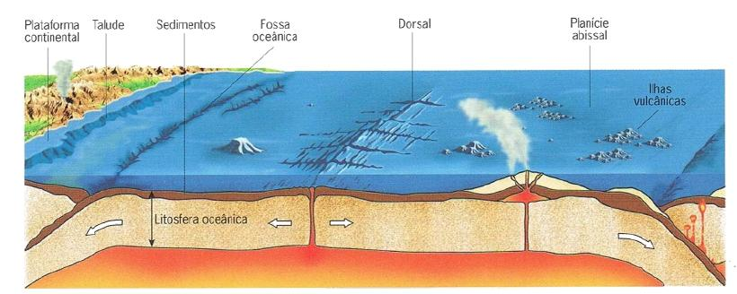 Os fundos oceânicos são mais densos e constituídos por basalto. As rochas são geologicamente jovens (1500 M.a.) e não estão deformadas.