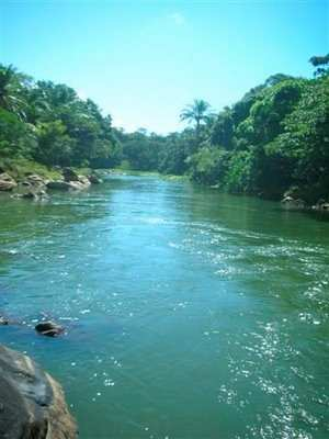 Volume de resíduos com alta carga orgânica Rio Pojuca (Bahia) com problemas de