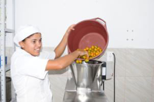 CENTRO DE EDUCAÇÃO POPULAR E FORMAÇÃO SOCIAL - CEPFS Apoio a 02 unidades de beneficiamento de fruta (extração de polpa) projeto piloto de adaptação as mudanças climáticas.