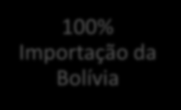 Estrutura da IGN antes do Plano de Desinvestimento da PETROBRAS Controle da infraestrutura de transporte Monopólio no carregamento e na comercialização de gás às distribuidoras Participação