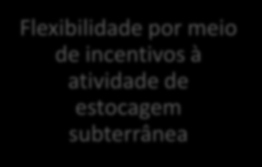 Visão da IGN concorrencial Transportador independente Aumento do nº de Agentes (compradores e vendedores) Isonomia de Tratamento acesso não discriminatório Alocação do risco entre agentes do mercado