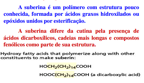 Ceras, juntamente com a cutina (partes aéreas) e suberina (partes subterrâneas ) são importantes para a formação da