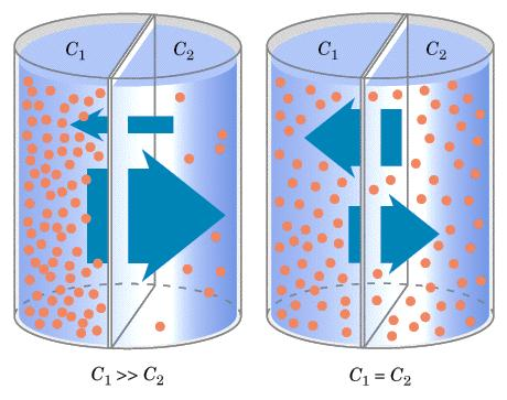 Membrana permeável compartimentos com diferentes concentrações moleculares ou íons Equilíbrio alcançado por Difusão Deve haver igualdade