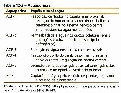 Aquaporinas estão presentes em diversas células