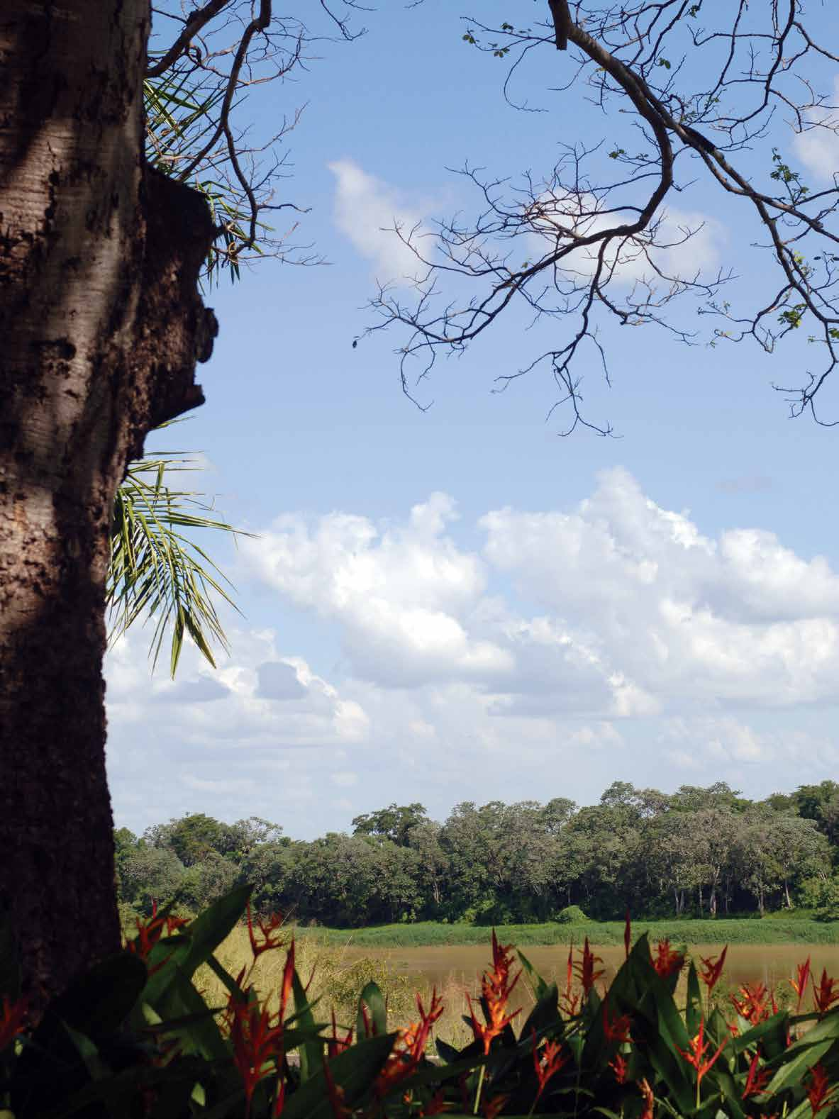 L E I L Ã O 2 0 1 3 15 Junho Sábado 13h Fazenda Baluarte Lagoa dos Patos-MG PROMOTORES Fazenda Baluarte e Fazenda Mata Velha Eu quase nada sei. Mas desconfio de muita coisa.