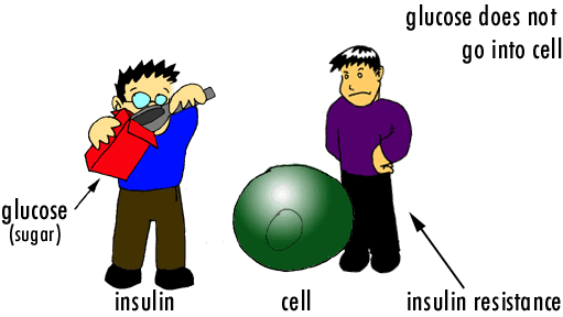 Resistência à insulina GLICOSE INSULINA CÉLULA