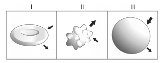 6. FUVEST 2015 Nas figuras abaixo, estão esquematizadas células animais imersas em soluções salinas de concentrações diferentes.