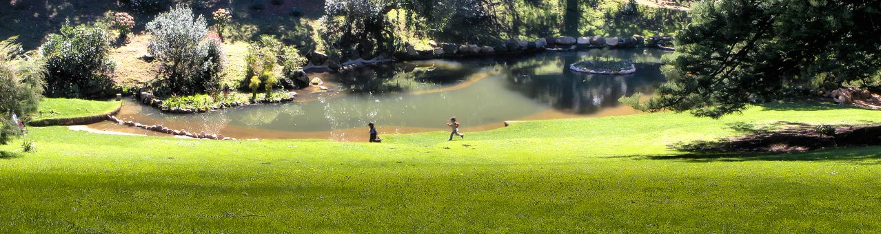 Celebrar um aniversário em Sintra, numa área de grande beleza natural e repleta de Património Histórico, onde a diversão se alia ao conhecimento, é uma experiência inesquecível!