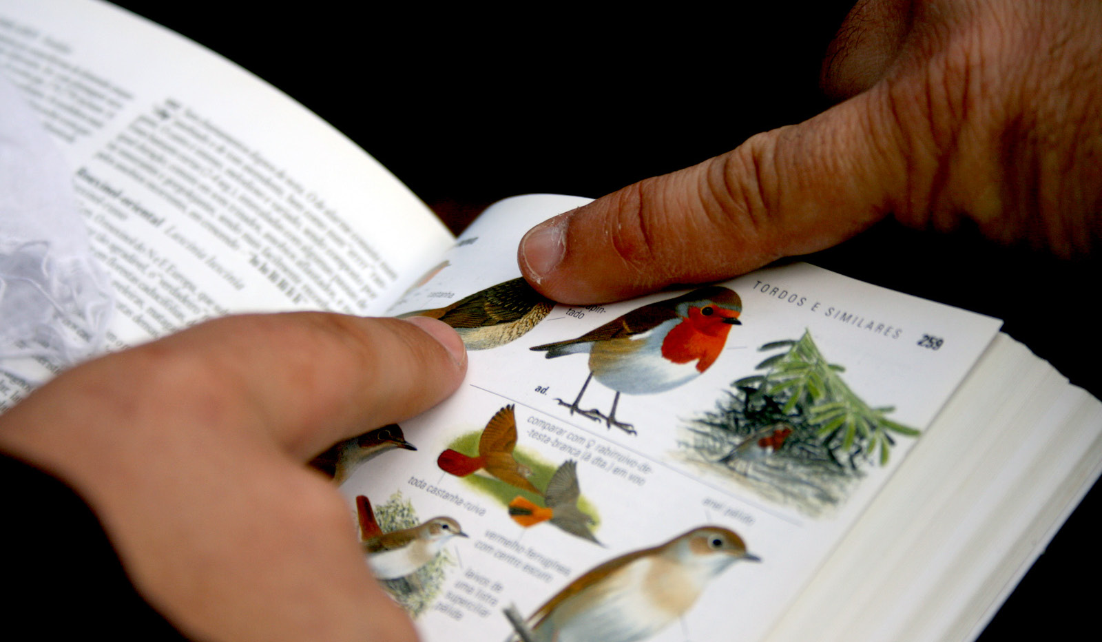 Caderno de atividades As atividades pedagógicas são propostas práticas para a exploração da biodiversidade e do ambiente no Parque, em casa ou na escola.