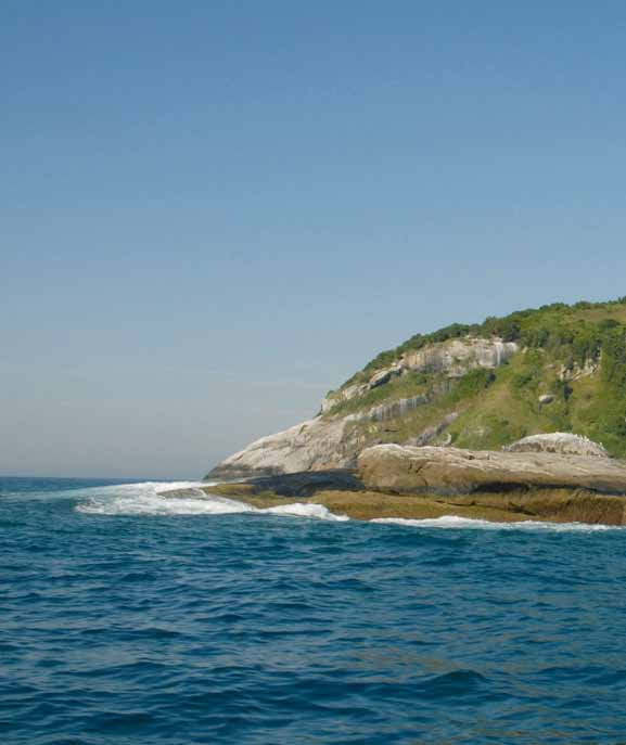 A Ilha das Cobras A Queimada Grande, conhecida como Ilha das Cobras, é um grande exemplo da complexa e intrincada relação de fatores a serem