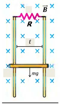 P3 1/6/13 1 a Questão: (3,) Uma barra condutora de resistência desprezível, comprimento l = 3 cm e massa m =,9 kg, está deslizando para baixo em movimento uniforme com velocidade v, sob ação apenas
