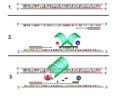 Infecções sistêmicas ou localizadas com disseminação Hemocultura Painéis de detecção e identificação PCR PCR-Real Time Hibridização (microarranjos) Septifast <300 UFC/mL Gram (-) Escherichia coli