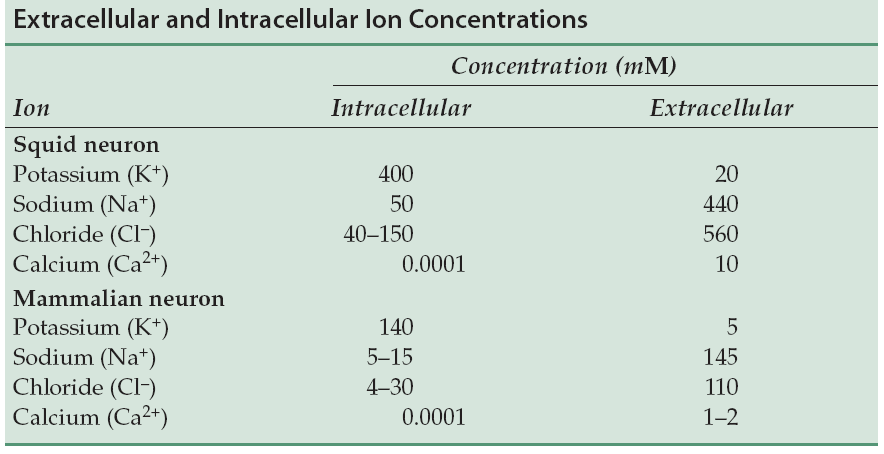 Propriedades das células essenciais à geração e manutenção do potencial Existência de diferenças nas concentrações intra e extracelulares de diversos iões.