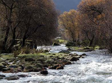 Massas de água subterrâneas em Portugal Continental Foram identificadas 2434 massas de água para a categoria rios, 33 massas de água para a categoria águas de transição e 28 massas de água para a