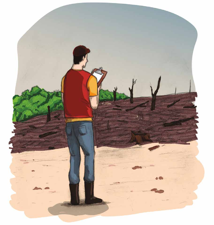 Monitorar e combater desmatamentos e queimadas ilegais Uma das tarefas importantes para o município ter maior controle ambiental sobre seu território é a implantação de um sistema de monitoramento de