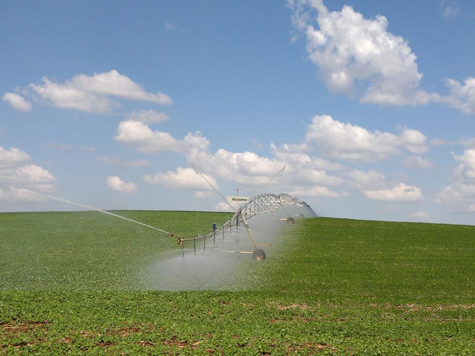 Caracterização da propriedade: Região oeste do Paraná Altitude média de 600m 540 ha de área total, sendo 120 ha de reserva, 410 ha cultivados, e 212 ha irrigados com 3 pivôs 32 anos de propriedade 13