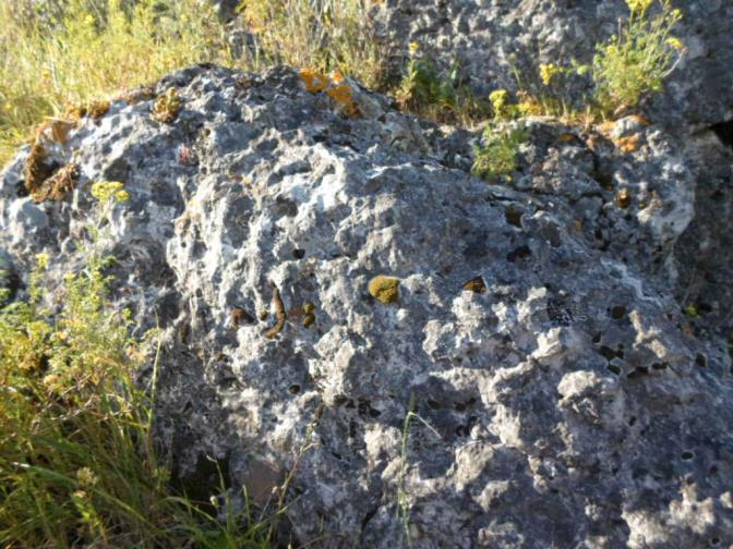 Alvéolos de dissolução ou lapiás alveolar do Alto da Pena Ficha nº 20.7 A. Enquadramento Ficha de Levantamento do Geopatrimónio 1. Localização 1.1. Concelho: Loures 5. Fotografia 1.2. Freguesia: Loures 2.