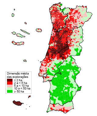 DIMENSÃO MÉDIA DAS EXPLORAÇÕES Santarém, 8 de Junho de 2011 Portugal: 12 ha Entre Douro e Minho: 4,3 ha Trás-os-Montes: 7 ha (12% SAU e 20% explorações) Beira Litoral: