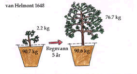 Fotossíntese da onde as plantas obtém o seu alimento? 350 a. c. - Aristóteles - acreditava que as plantas obtinham seu alimento do solo (tendo em mente o que ocorre com animais).