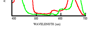 Espectros de absorção ab so rb ân cia Espectro de