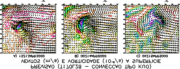 Figura 6 Ventos e vorticidade à superfície simulados pelo modelo do CPTEC T170L28 uando parametrização de convecção profunda do tipo Kuo.