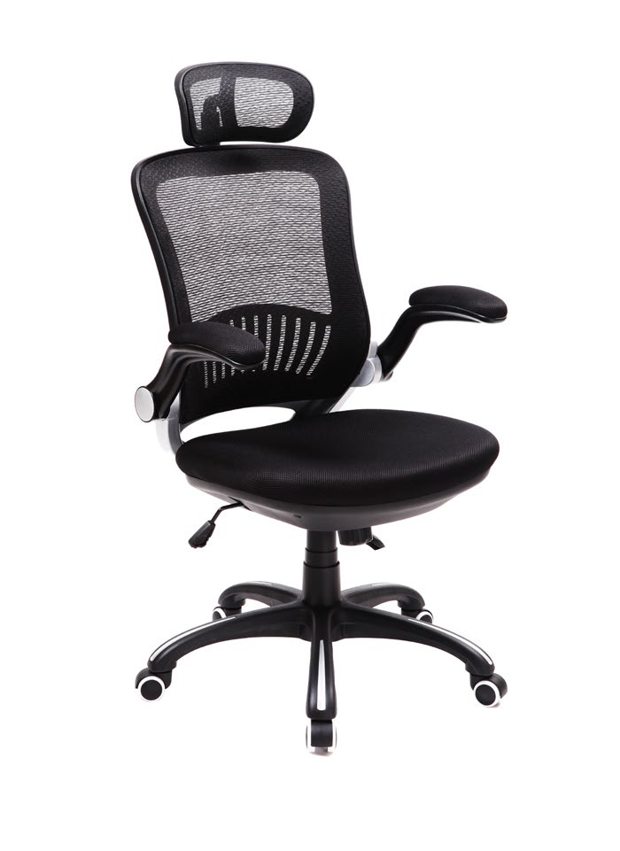 BLM 900 P BLM 900 D Cadeira Diretor Cadeira diretor com encosto em tecido telado acrílico, assento em poliéster com espuma