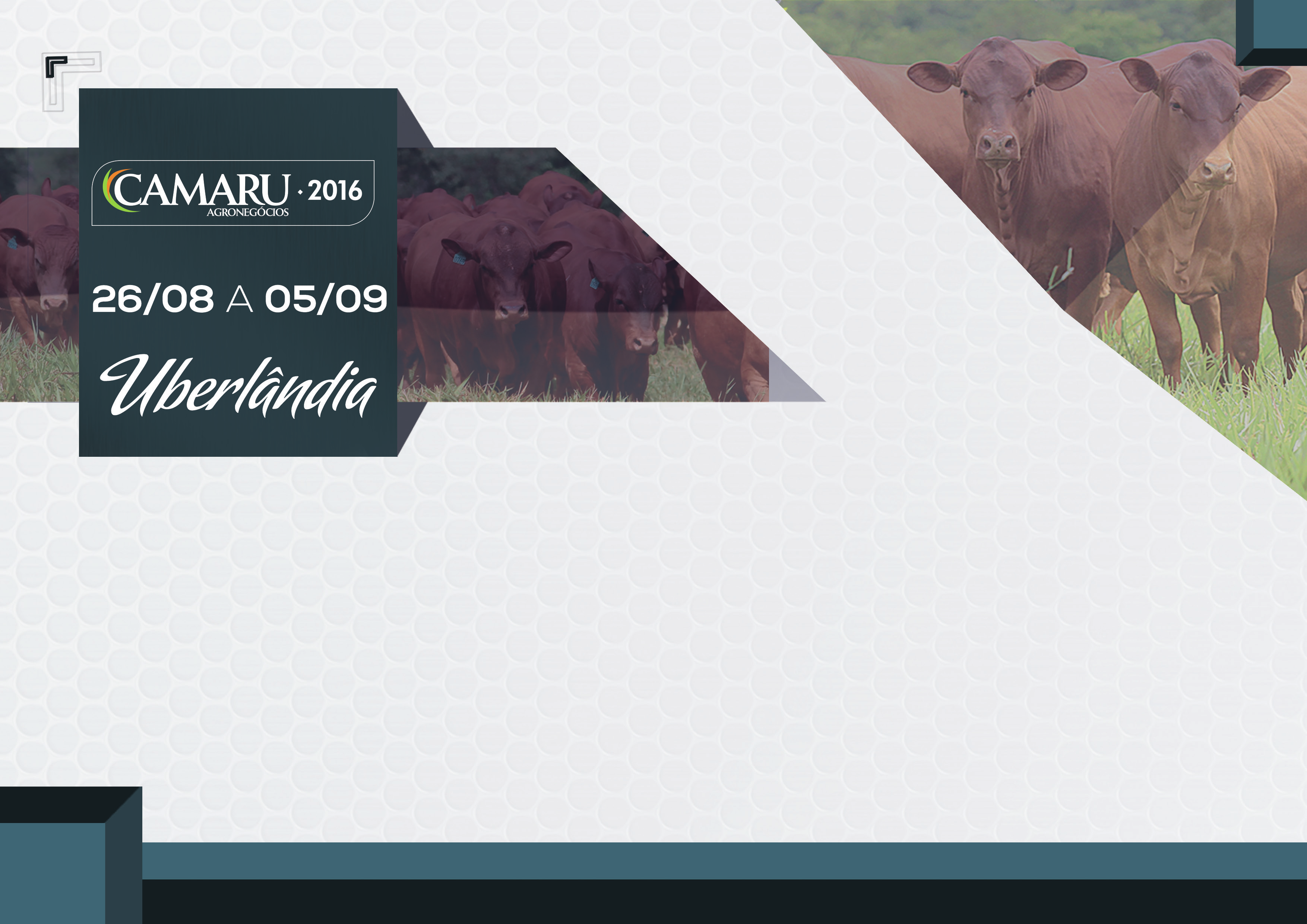 Convite Senepol Caro amigo(a), A Associação Brasileira dos Criadores de Bovinos Senepol (ABCBS) estará presente na 53ª Exposição Agropecuária, realizada pelo Sindicato Rural de Uberlândia que