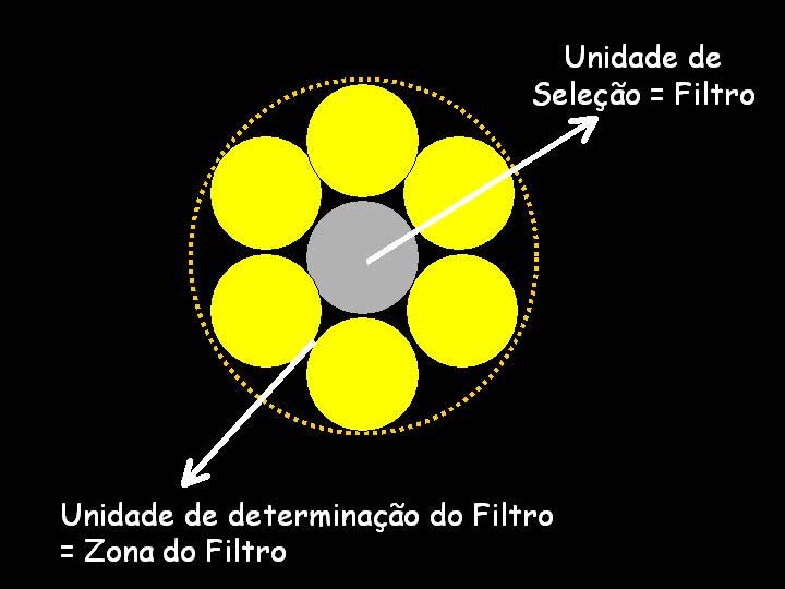 Deposição de serapilheira entre árvore do