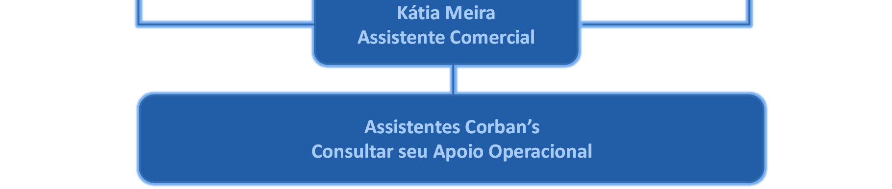 Comercial Kátia Meira Assistente Comercial