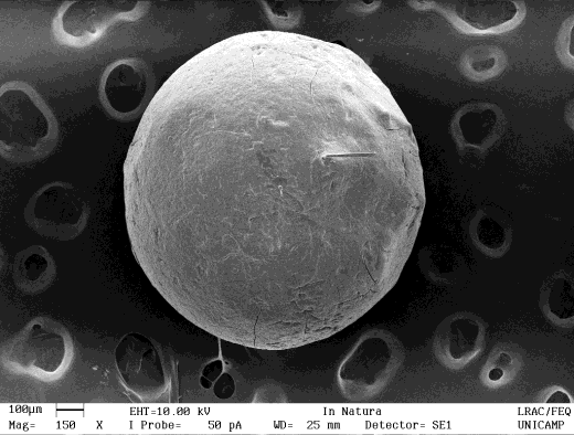 (a) (c) (d) Figura 2 Micrografias eletrônicas de varredura das partículas S-A in natura (parte superior) e contaminadas com