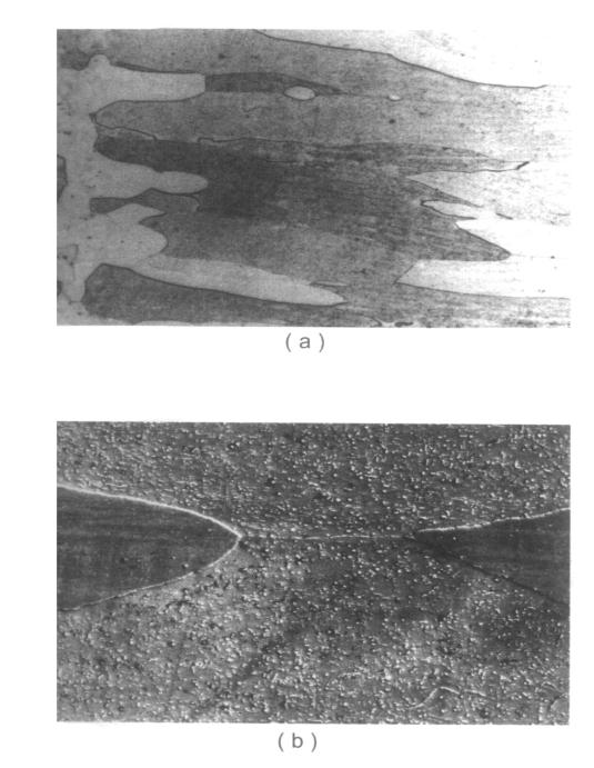 101 Figura 60 Microestrutura da solda de um aço inoxidável ferrítico estabilizado com nióbio. Ataque: água-régia. (a) Microscopia ótica (50x) (b) Microscopia eletrônica (500x) (MODENESI, 2001).