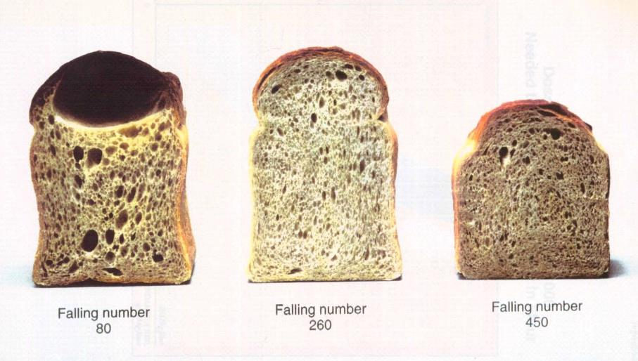Aspecto do pão em função do Número de Queda ( Falling Number ) Fonte: