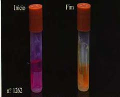 INDICADORES QUÍMICOS INDICADORES BIOLOGICOS Indicam se a