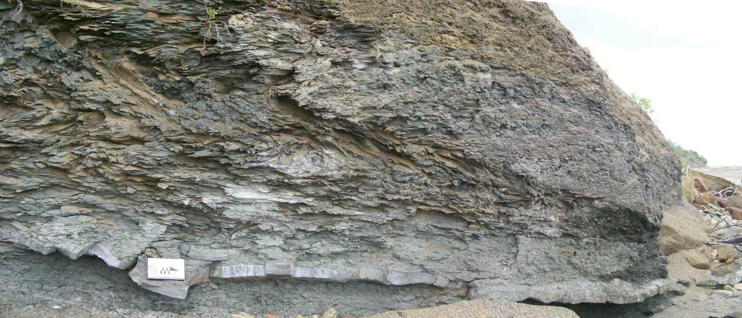 As falhas originadas por dobras em leque (Figura 4.15) utilizadas neste estudo foram formadas antes da completa litificação dos sedimentos, sendo sin-deposicionais.