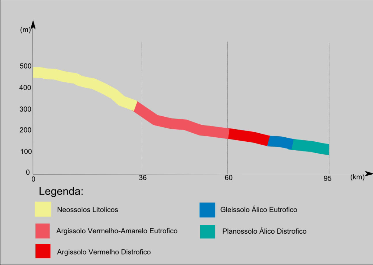 Geomorfologia ao longo do perfil  FIGURA 4.