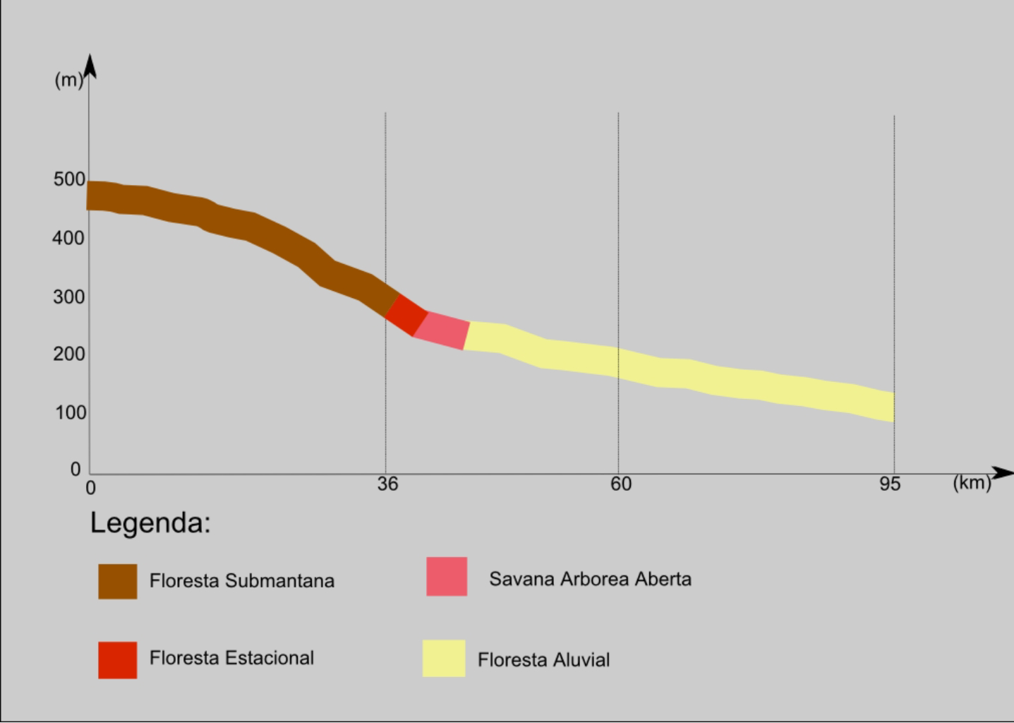 FIGURA 5.