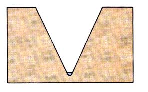 MATURIDADE V