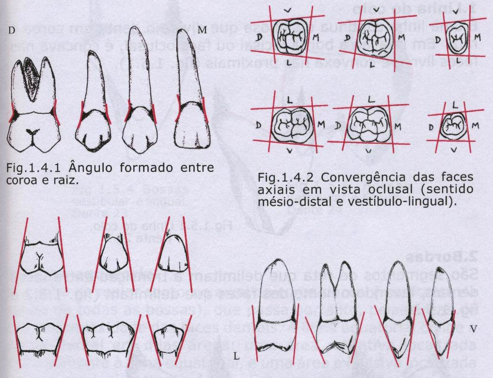 mais agudo Convergência