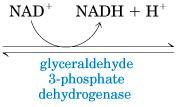 Glicólise/Fases Gliceraldeído 3-P + NAD + Pi 1-3