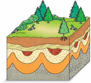 11º Ano / Geologia Exercícios de aplicação - Rochas sedimentares DATAÇÃO RELATIVA DAS ROCHAS 1- A figura seguinte representa uma determinada área geológica, onde se observam duas sequências
