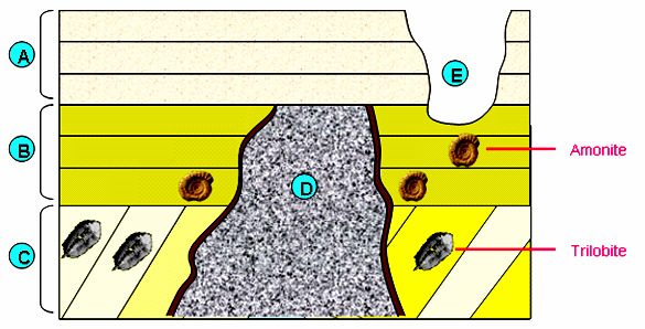 11º Ano / Geologia Exercícios de aplicação - Rochas sedimentares DATAÇÃO RELATIVA DAS ROCHAS 1- A figura ilustra uma determinada área geológica, cujos estratos se encontram desviados da sua posição
