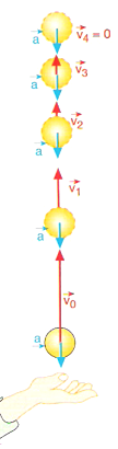 v/m/s Situação: Lançamento vertical de uma bola 15 gráfico velocidade-tempo Se v > 0 o corpo desloca-se no sentido positivo da trajectória.