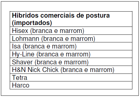 Híbridos de Postura Principais linhagens de postura comercial