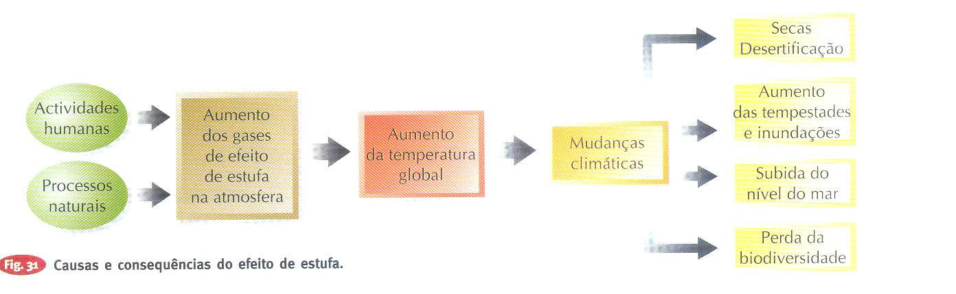 Grandes Problemas ambientais O aumento do efeito de estufa; O aquecimento global; A desflorestação; A destruição da camada de ozono; As chuvas ácidas; O clima urbano; Os resíduos perigosos; A