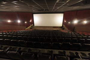 Na concorrência com gigantes do setor de cinemas, os chamados cinemas de bairros conquistam cada vez mais seu espaço e a preferência do público que prefere assistir um filme perto de casa.