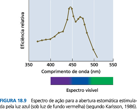 estimulada pela luz azul