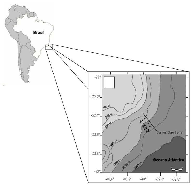 David Holanda de Oliveira, et al. Tabela 01 Dados de coordenadas, batimetria, e tamanho das amostras analisadas, Bacia de Campos.