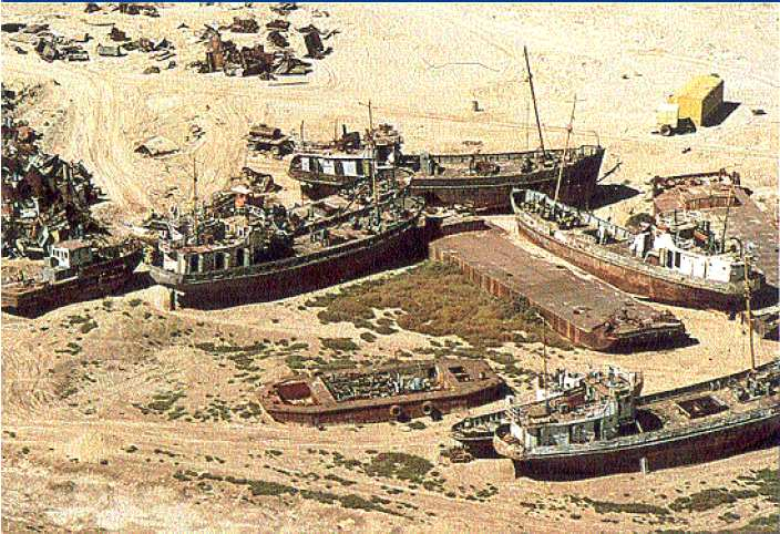 Impactos Globais Desertificação e Desmatamento Mar de Aral a