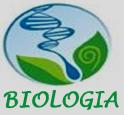 UNIVERSIDADE FEDERAL DO RECÔNCAVO DA BAHIA CENTRO DE CIÊNCIAS AGRÁRIAS, AMBI- ENTAIS E BIOLÓGICAS Curso: Biologia Licenciatura Equipe de