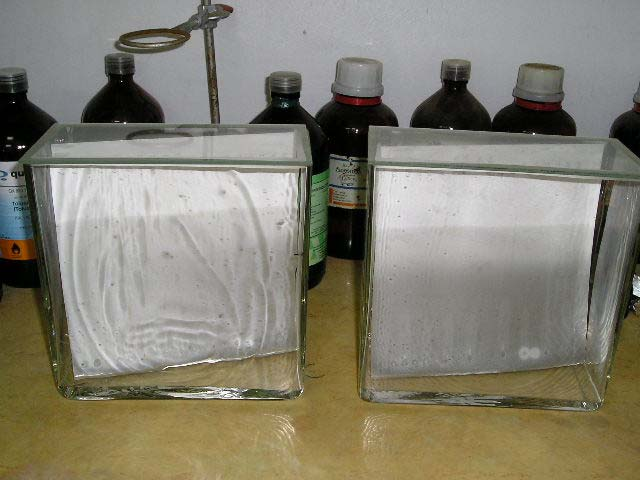 Os extratos foram secos e redissolvidos em 100 µl de clorofórmio, sendo aplicados juntamente com os padrões das micotoxinas em cromatofolhas de alumínio 60 (Merck) (Figura 4).